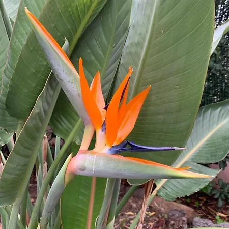 Rose De Sel Apartamento