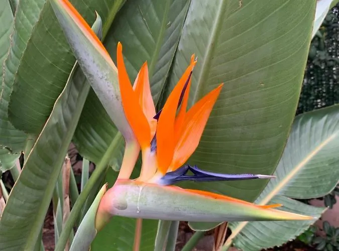 Rose De Sel דירה